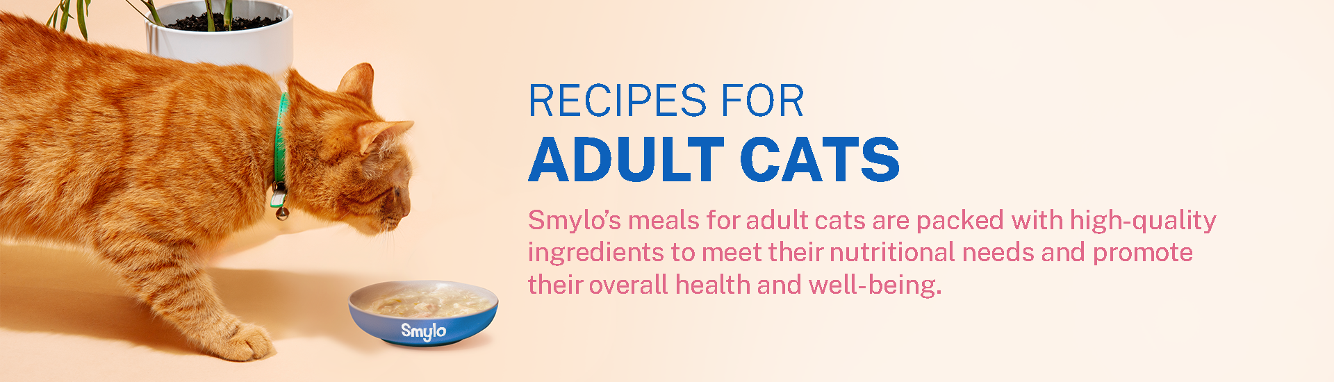 Adult Cat Food