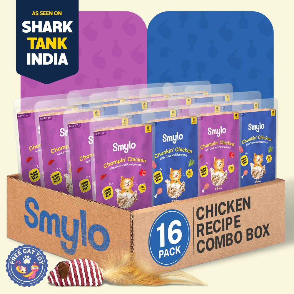 Smylo Chicken Combo (Adult)