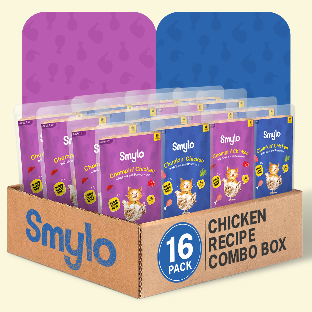 Smylo Chicken Combo (Adult)