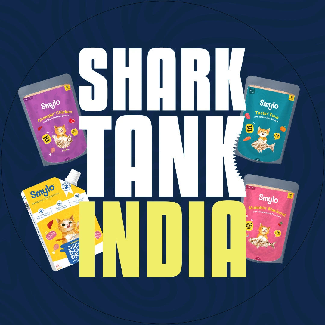 Shark's Choice