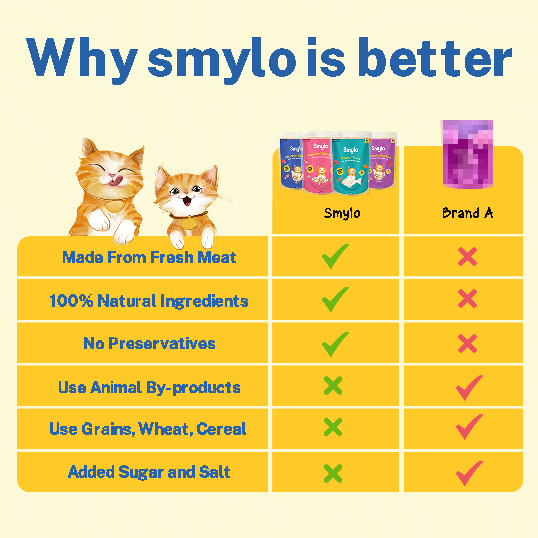 Smylo Kitten Combo Pack