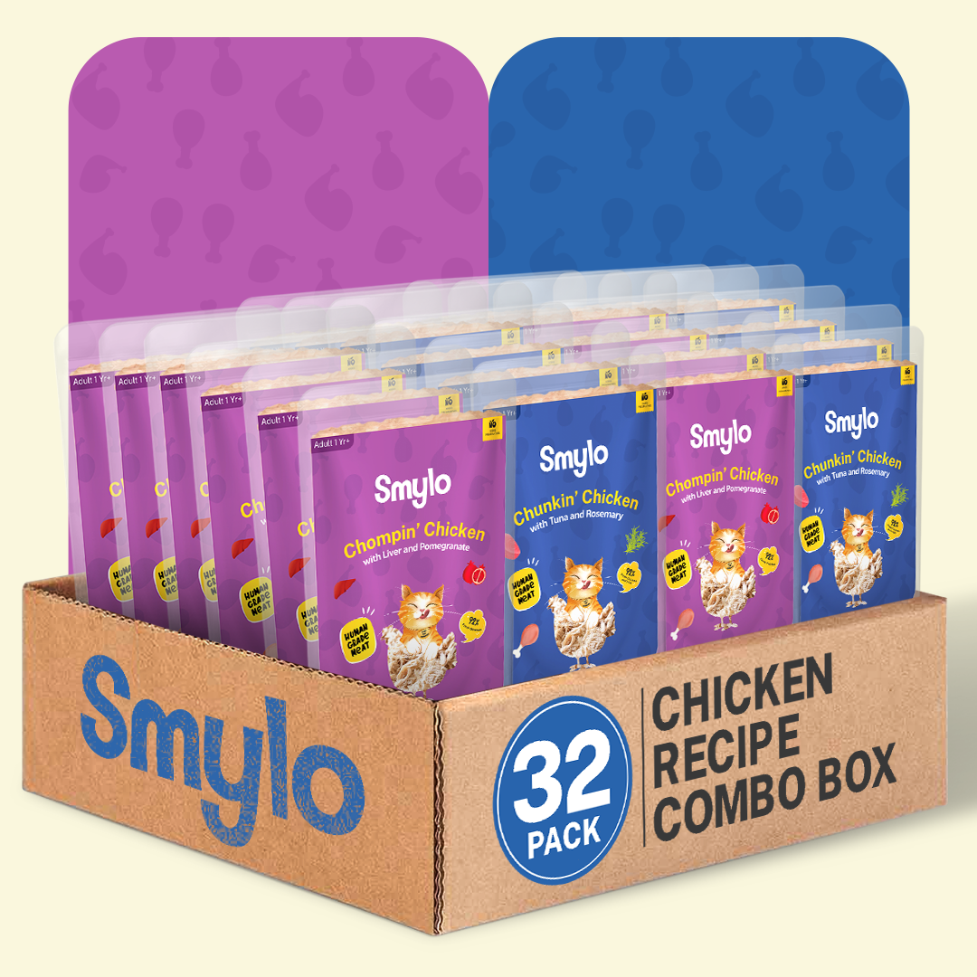 Smylo Chicken Combo (Adult)