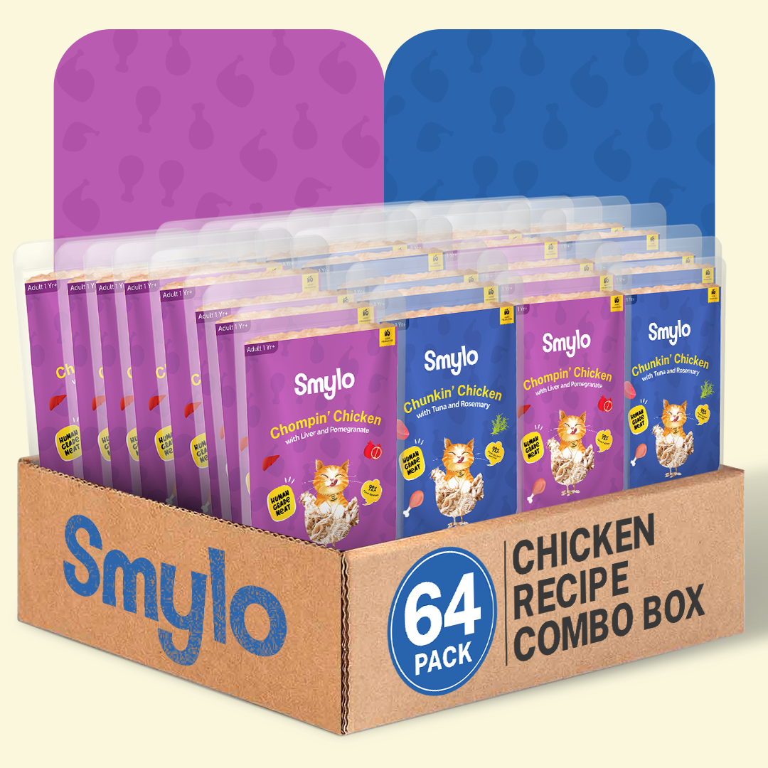 Smylo Chicken Combo (Adult)