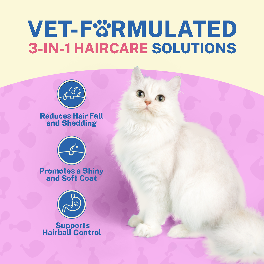 Smylo Chicken Combo (Adult)