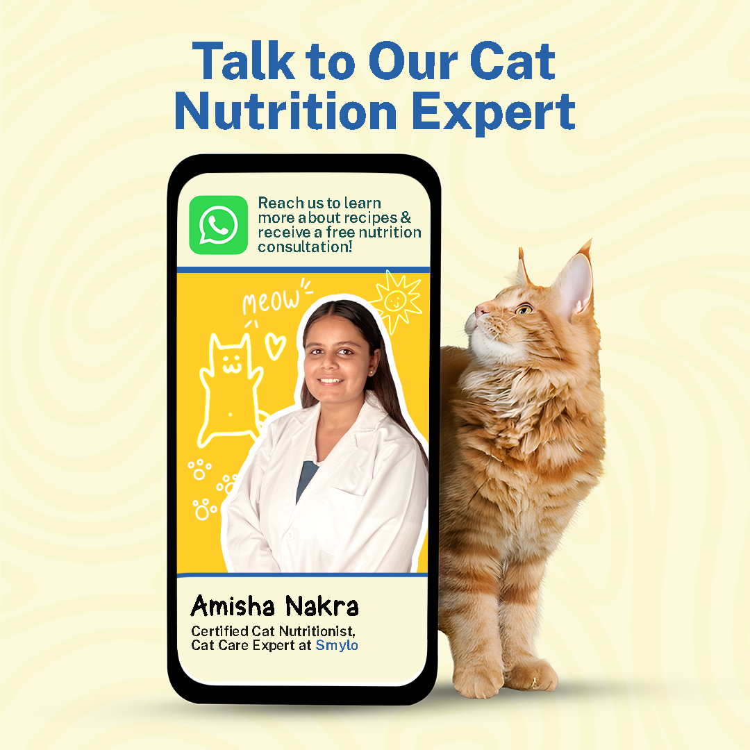 Adult Starter Box (Pack of 4) with 2 Broths