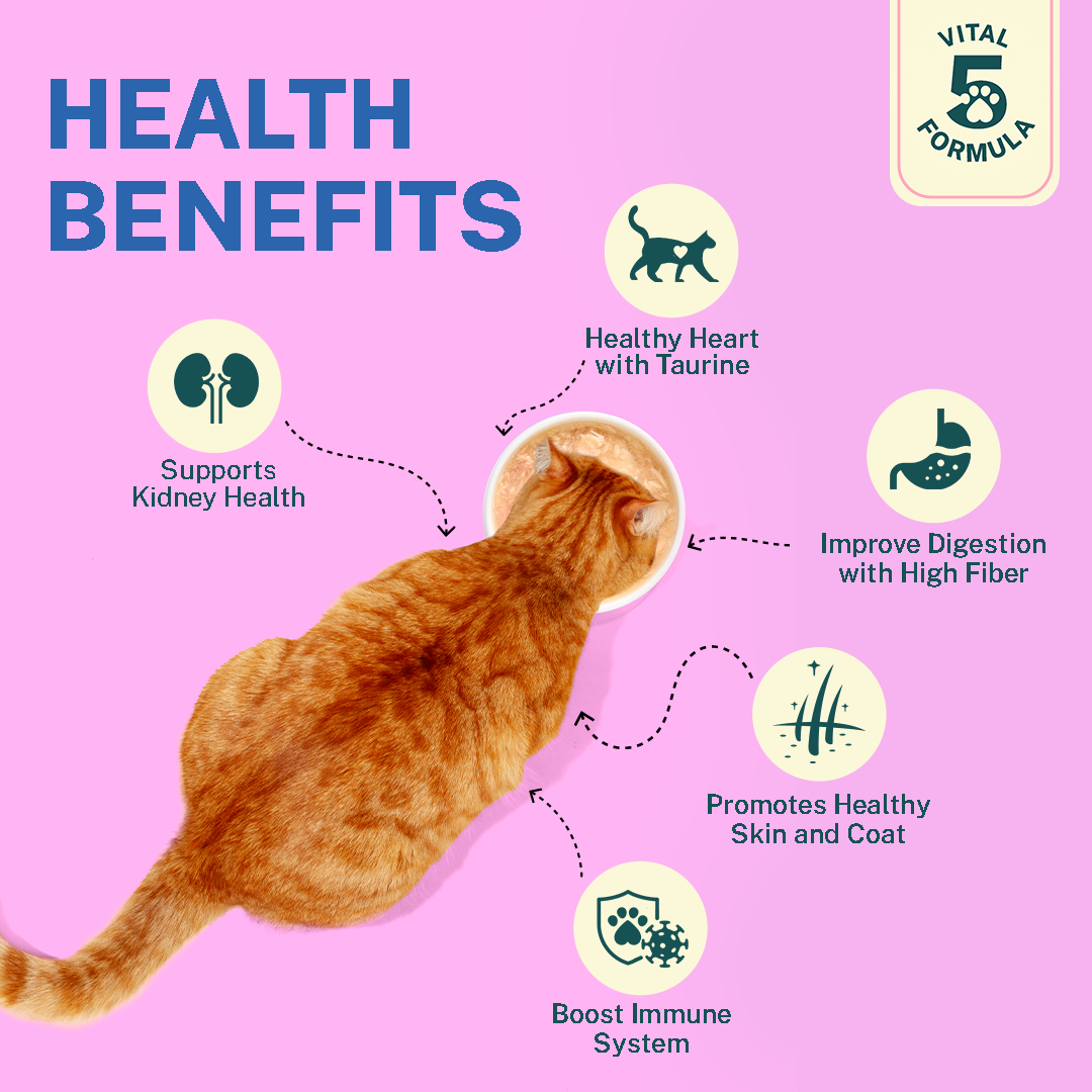 Smylo Chicken Combo (Adult)