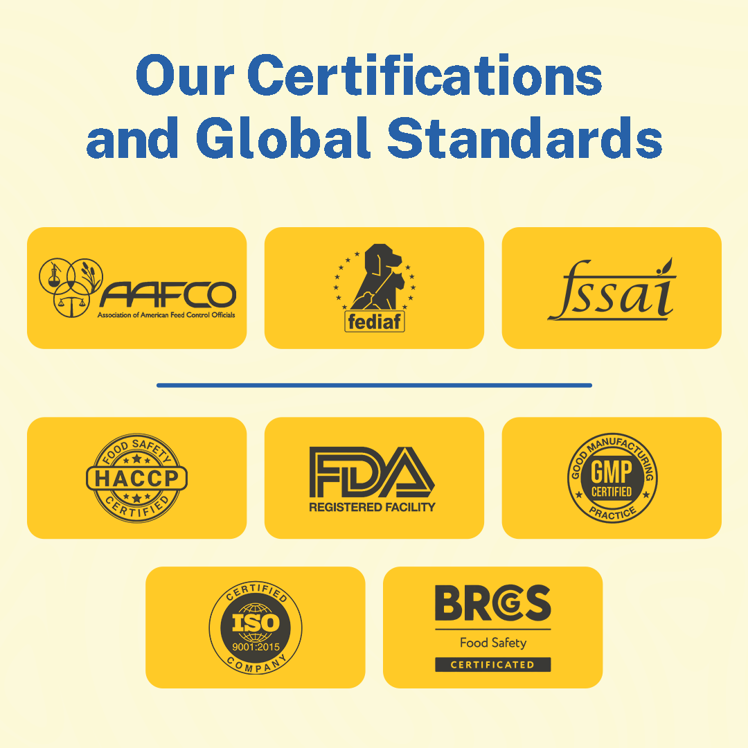 Adult Starter Box (Pack of 4) with 2 Broths