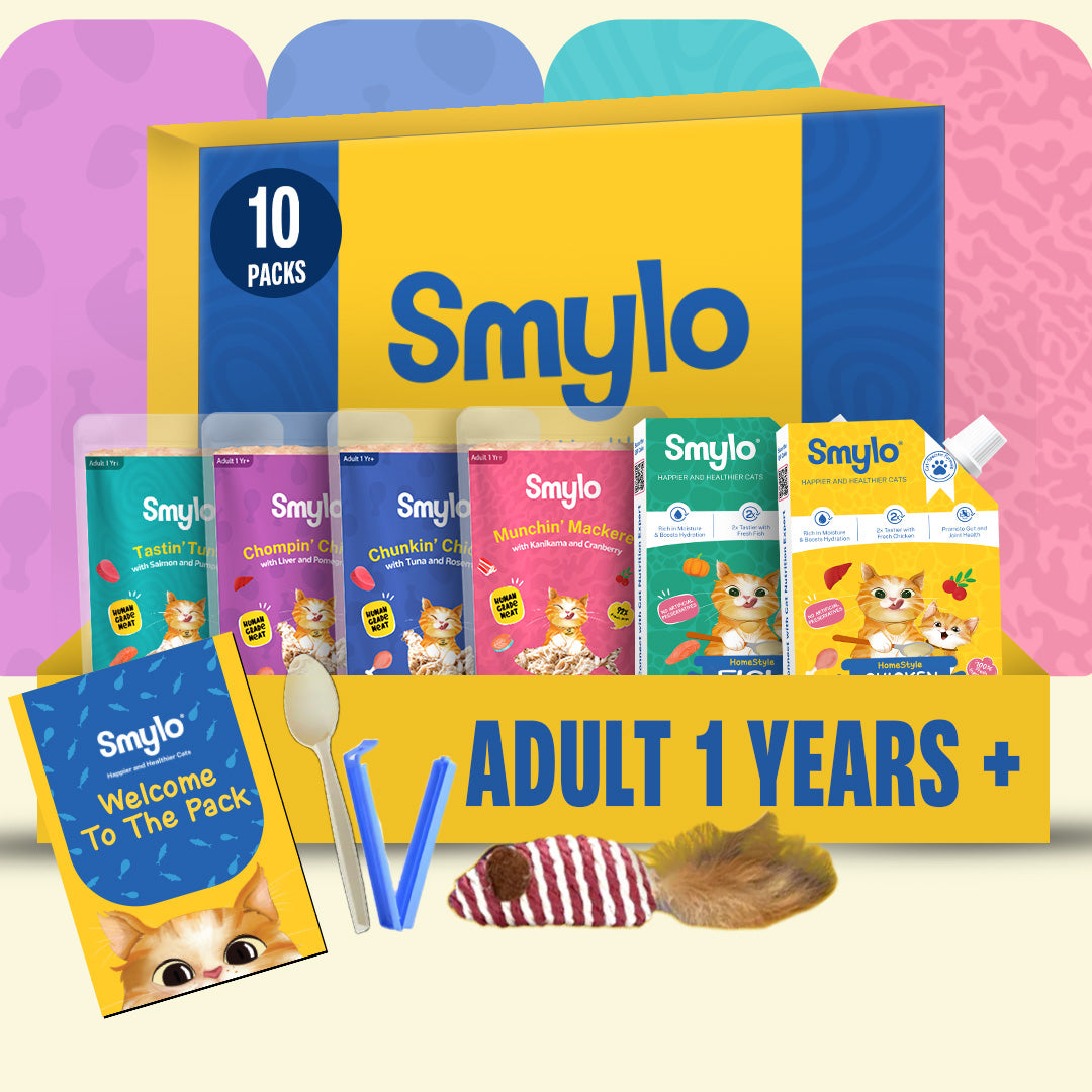 Adult Trial Box (Pack of 10)