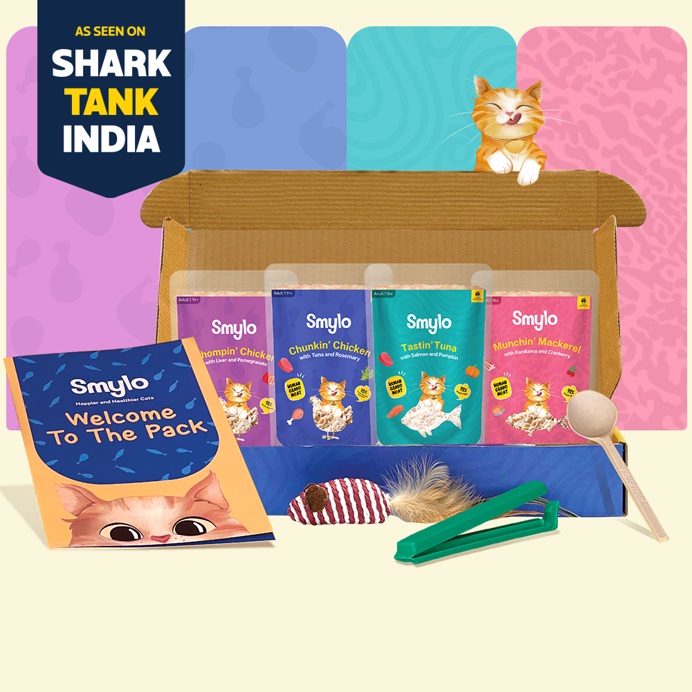 Adult Trial Box (Pack of 4)