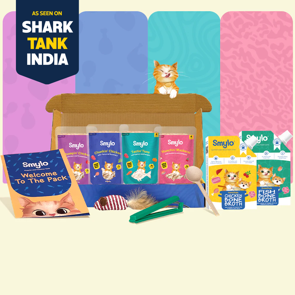 Adult Trial Box (Pack of 4) with 2 Broths