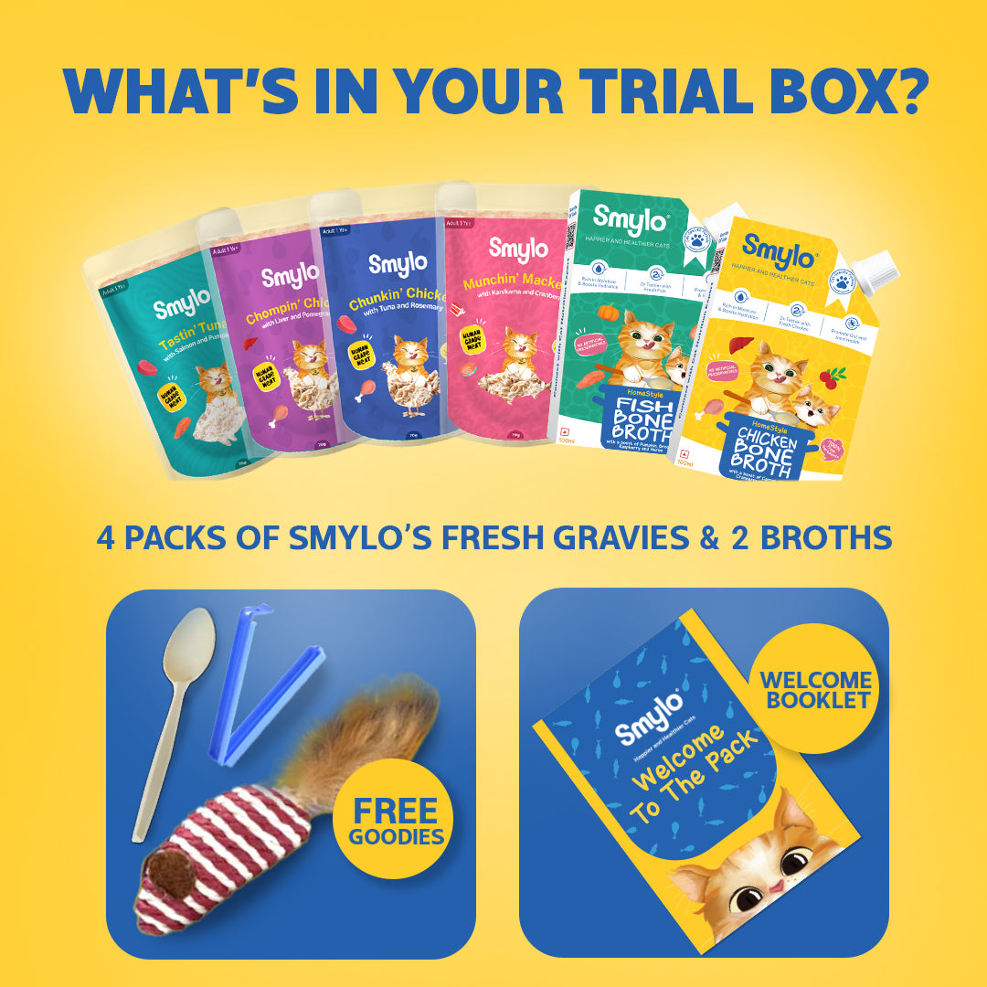 Adult Trial Box (Pack of 4) with 2 Broths