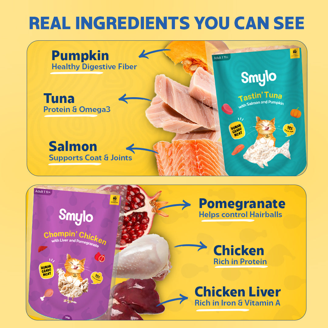 Adult Trial Box (Pack of 4) with 2 Broths