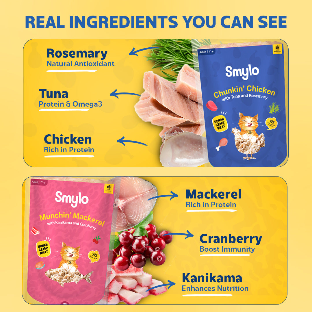 Adult Trial Box (Pack of 8)