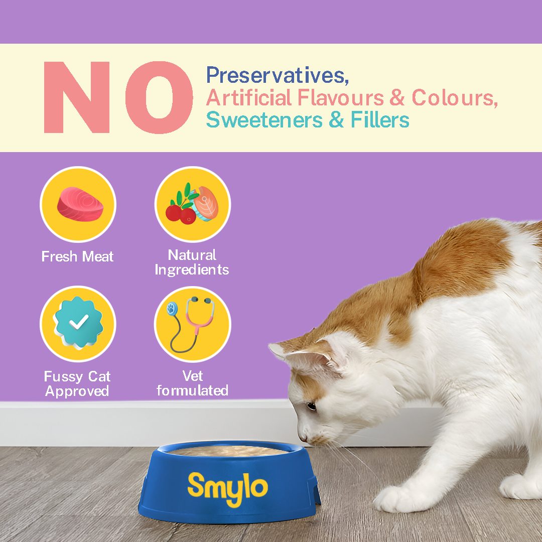 Chompin’ Chicken with Liver & Pomegranate (Kitten)