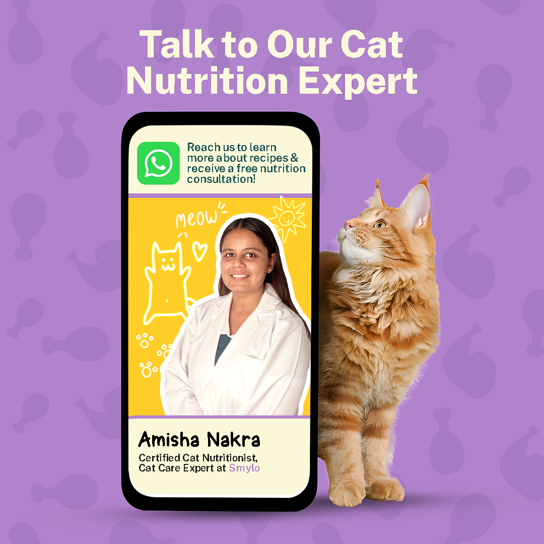 Chompin’ Chicken with Liver & Pomegranate (Kitten)