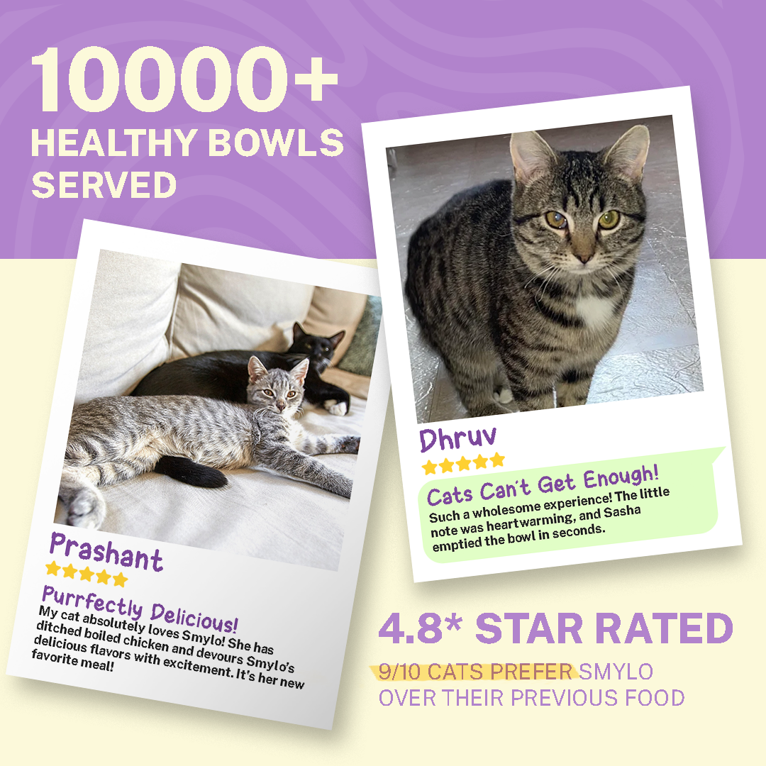 Chompin’ Chicken with Liver & Pomegranate (Kitten)