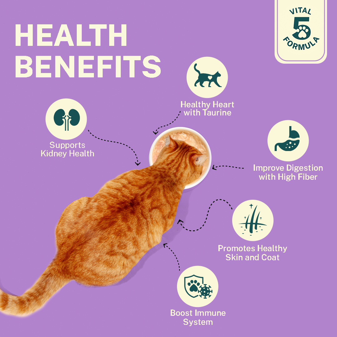 Chompin’ Chicken with Liver & Pomegranate (Kitten)