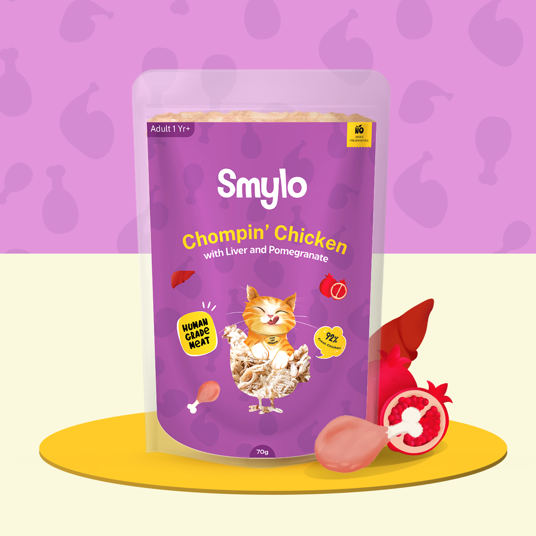 Smylo BYOB - Pack of 32 Food with 6 Broths