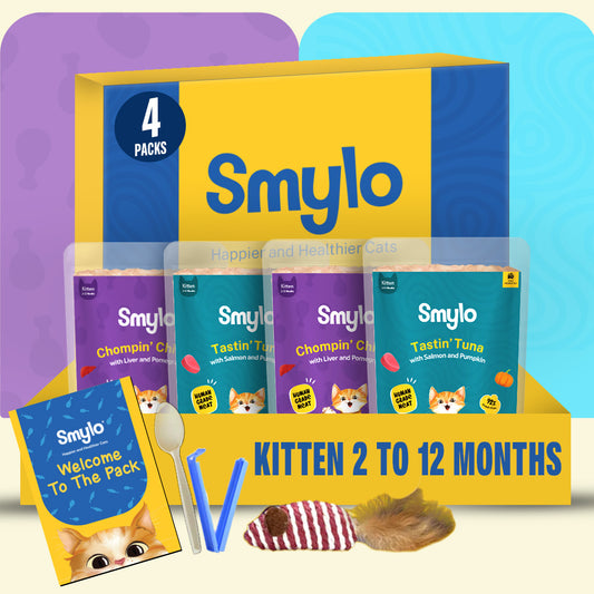 Kitten Trial Box (Pack of 4)