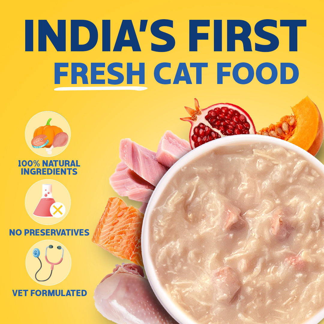 Kitten Trial Box (Pack of 4) with 2 Broths