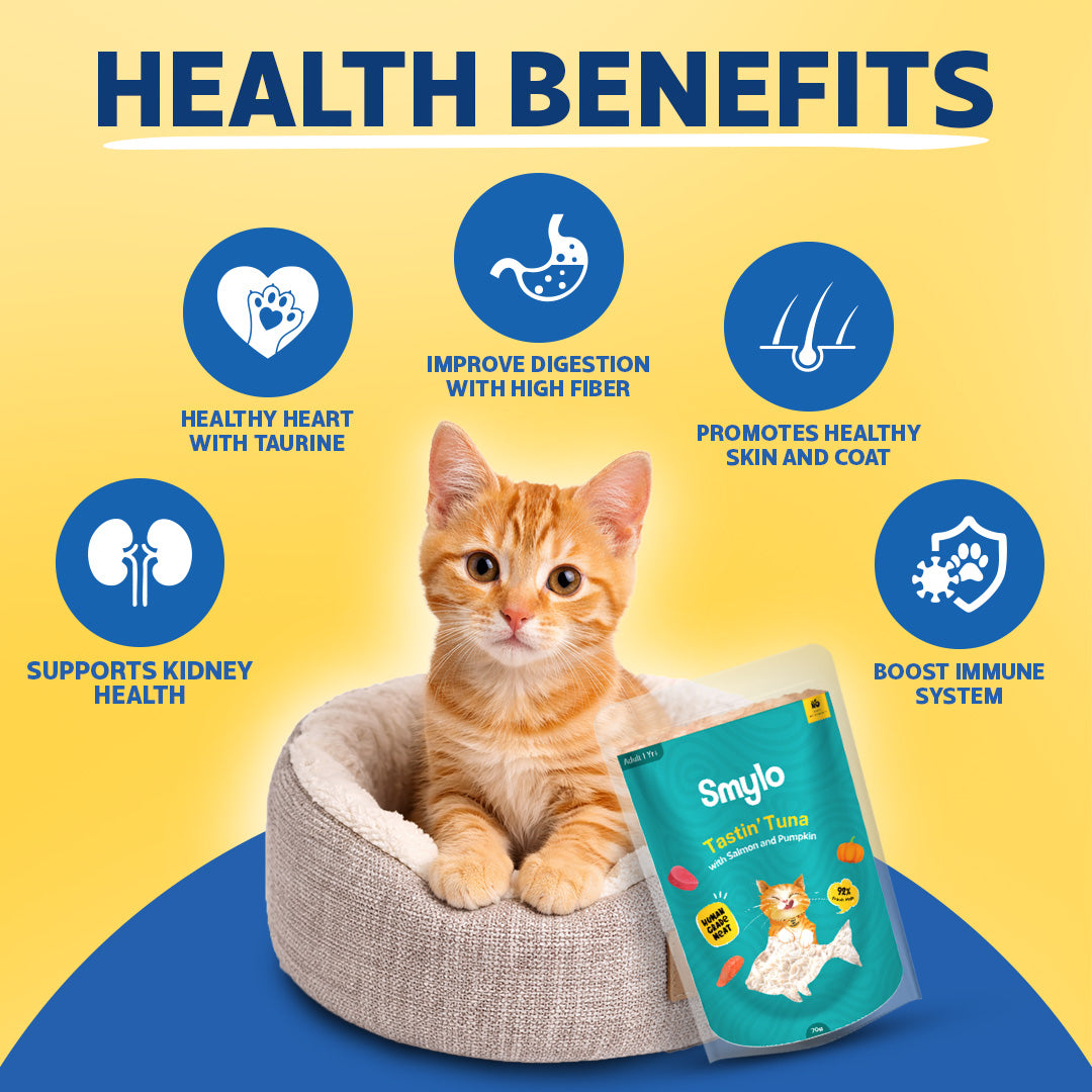 Kitten Trial Box (Pack of 4) with 2 Broths