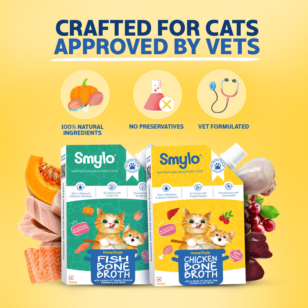 Kitten Trial Box (Pack of 4) with 2 Broths