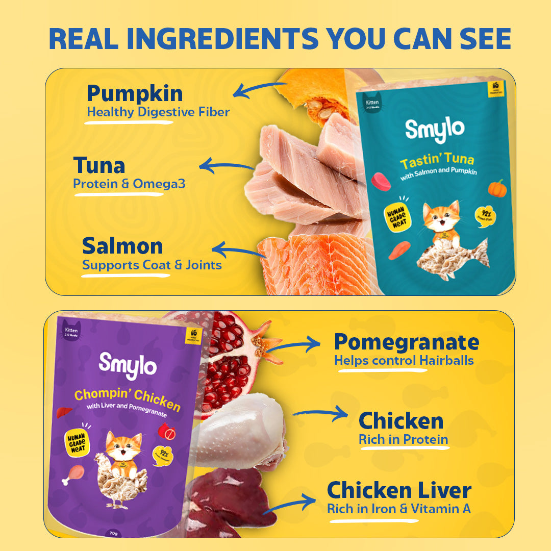 Kitten Trial Box (Pack of 4) with 2 Broths