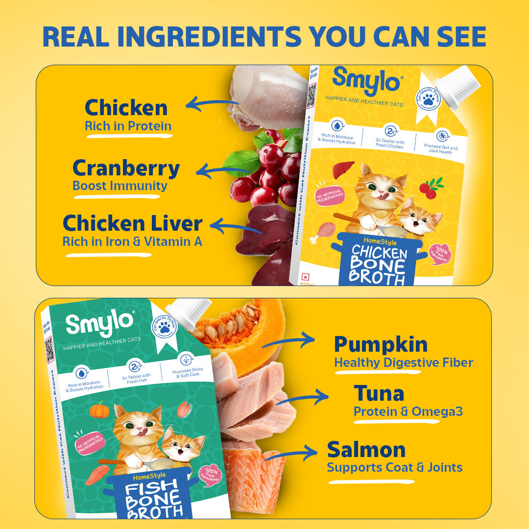 Kitten Trial Box (Pack of 4) with 2 Broths