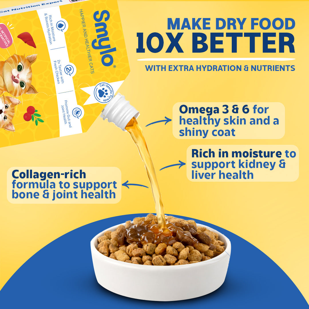 Kitten Trial Box (Pack of 4) with 2 Broths