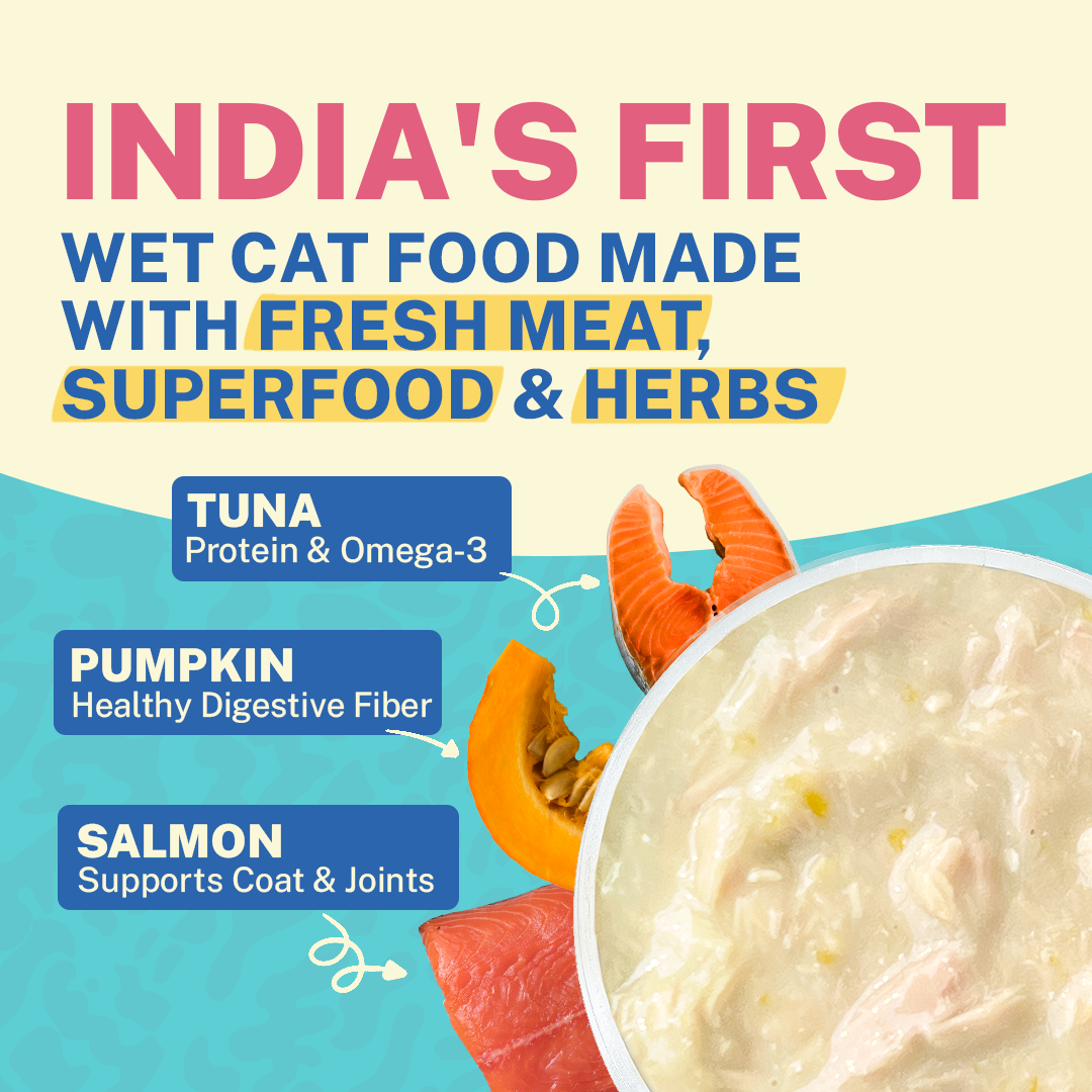 Tastin’ Tuna with Salmon & Pumpkin (Kitten)