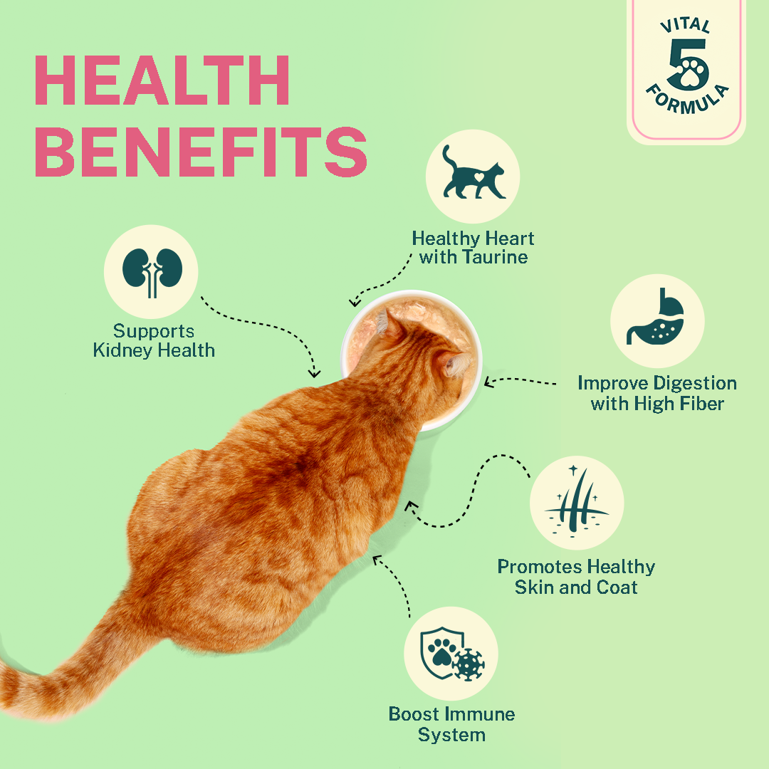 Smylo Fish Combo (Adult)