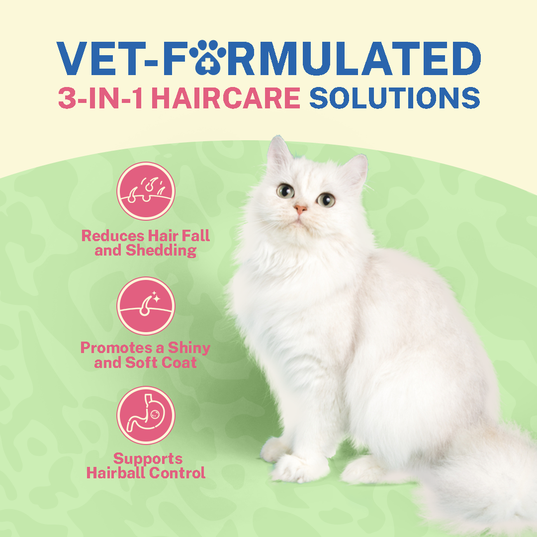 Smylo Fish Combo (Adult)