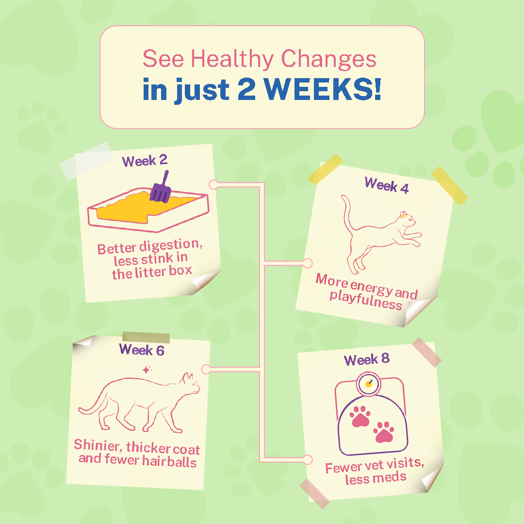 Smylo Fish Combo (Adult)