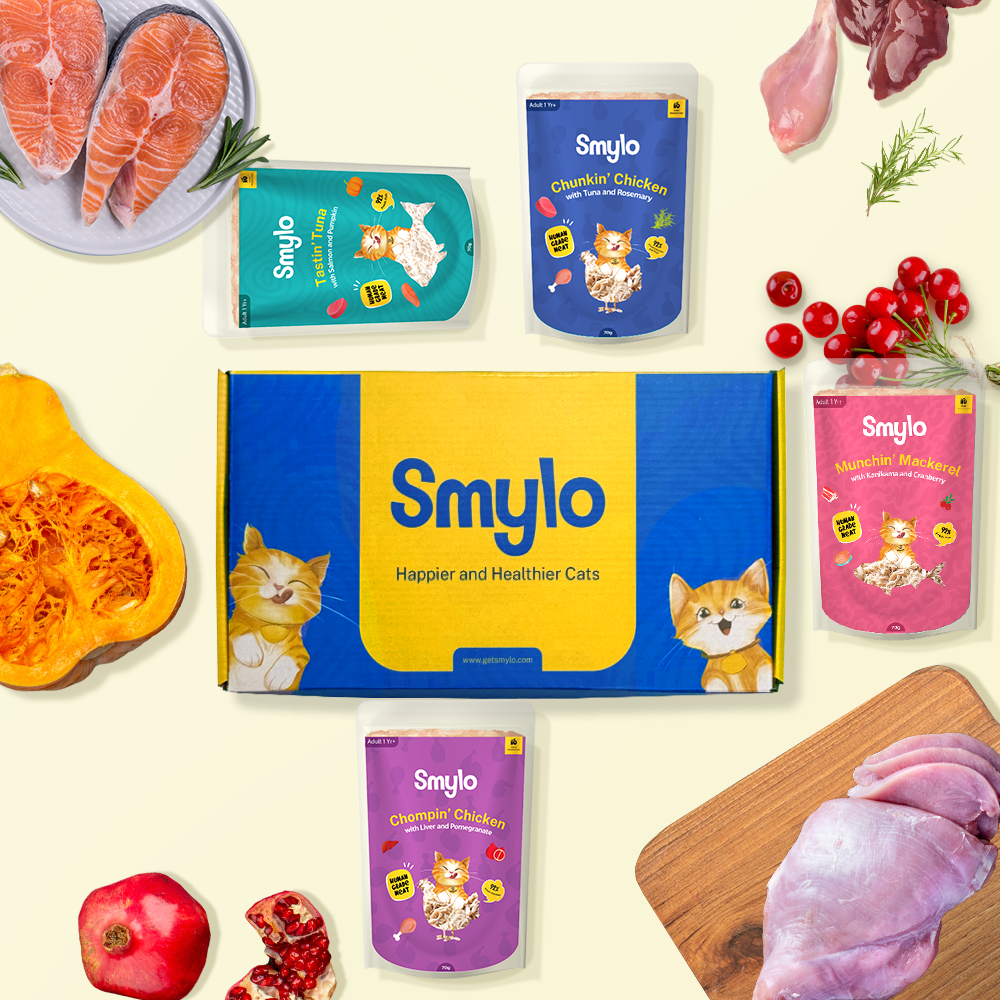 Smylo Adult Combo Pack