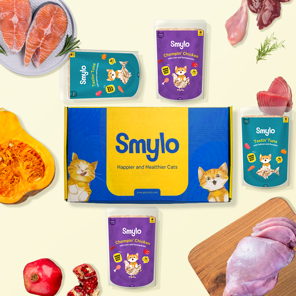 Smylo Kitten Combo Pack
