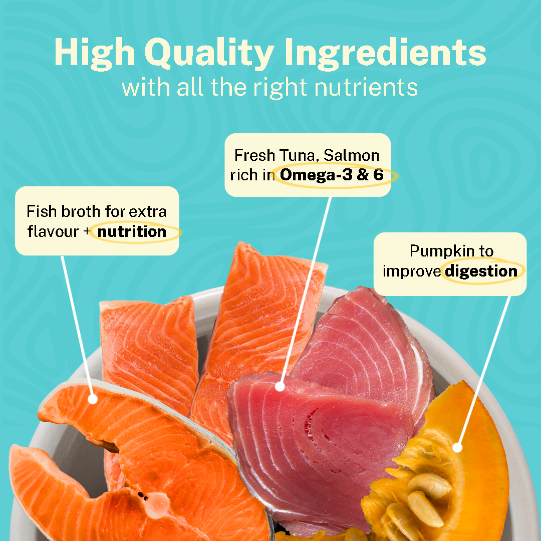 Tastin’ Tuna with Salmon & Pumpkin (Adult)