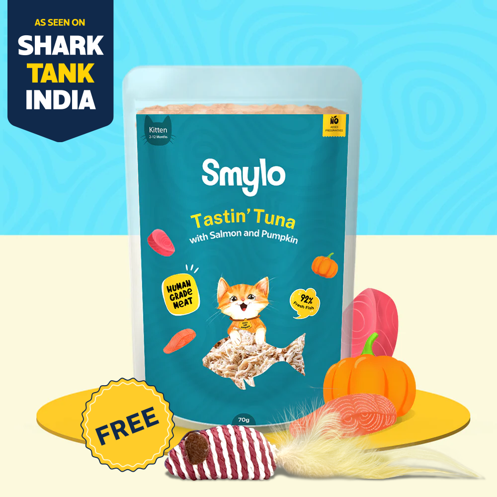 Tastin’ Tuna with Salmon & Pumpkin (Kitten)