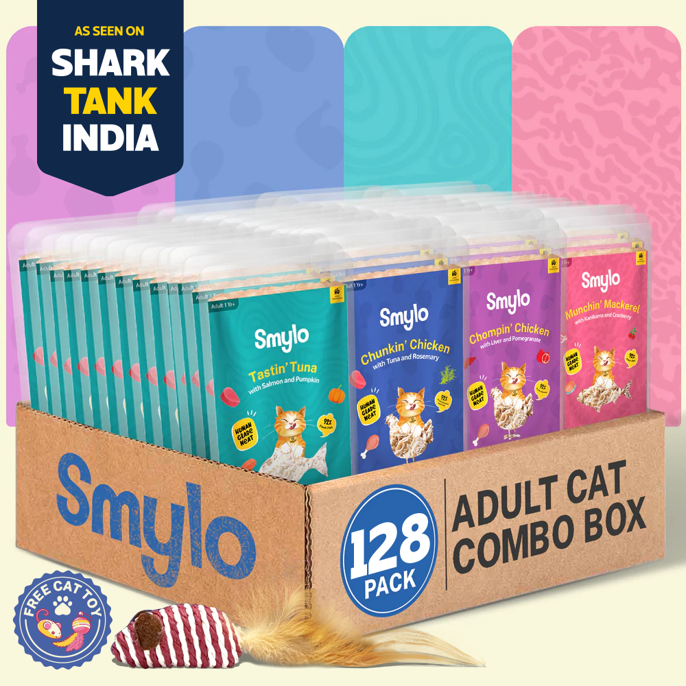 Smylo Adult Combo Pack