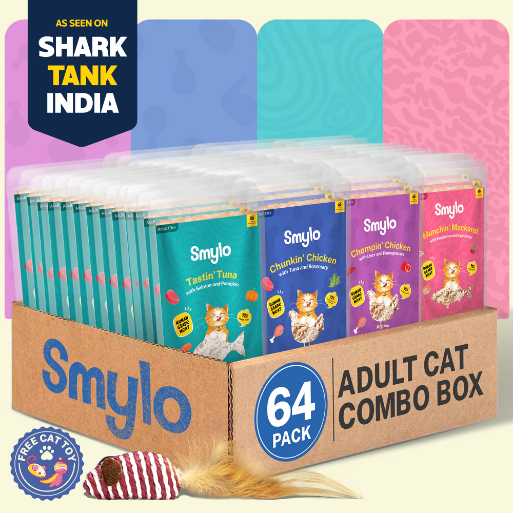 Smylo Adult Combo Pack