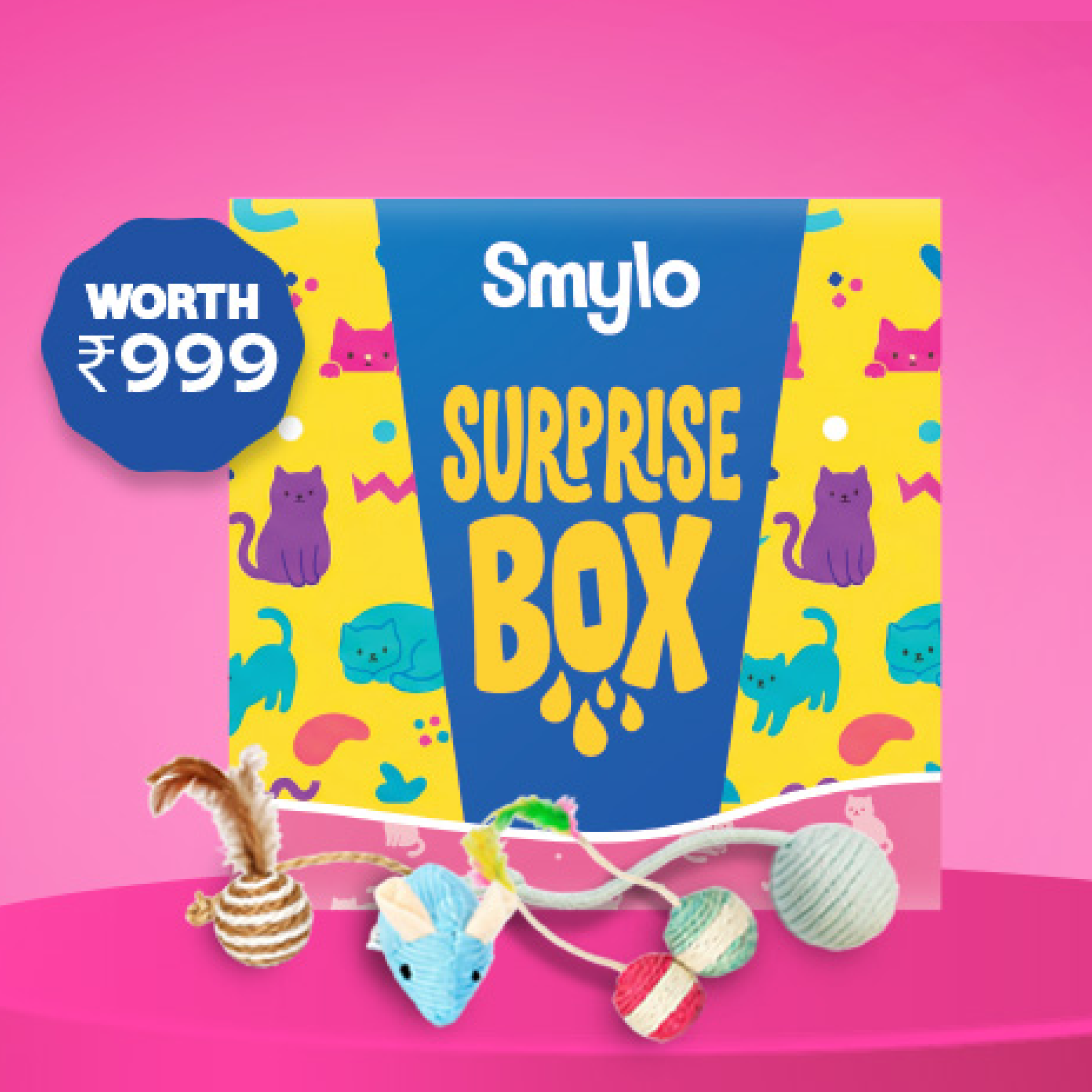 Smylo Surprise Box β Worth βΉ999π
