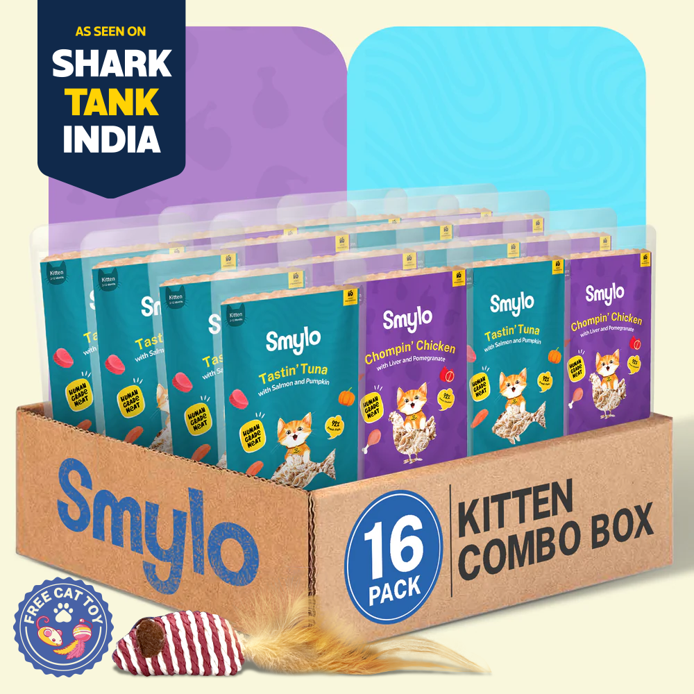 Smylo Kitten Combo Pack