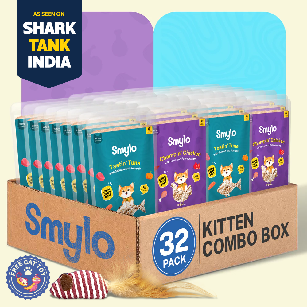 Smylo Kitten Combo Pack