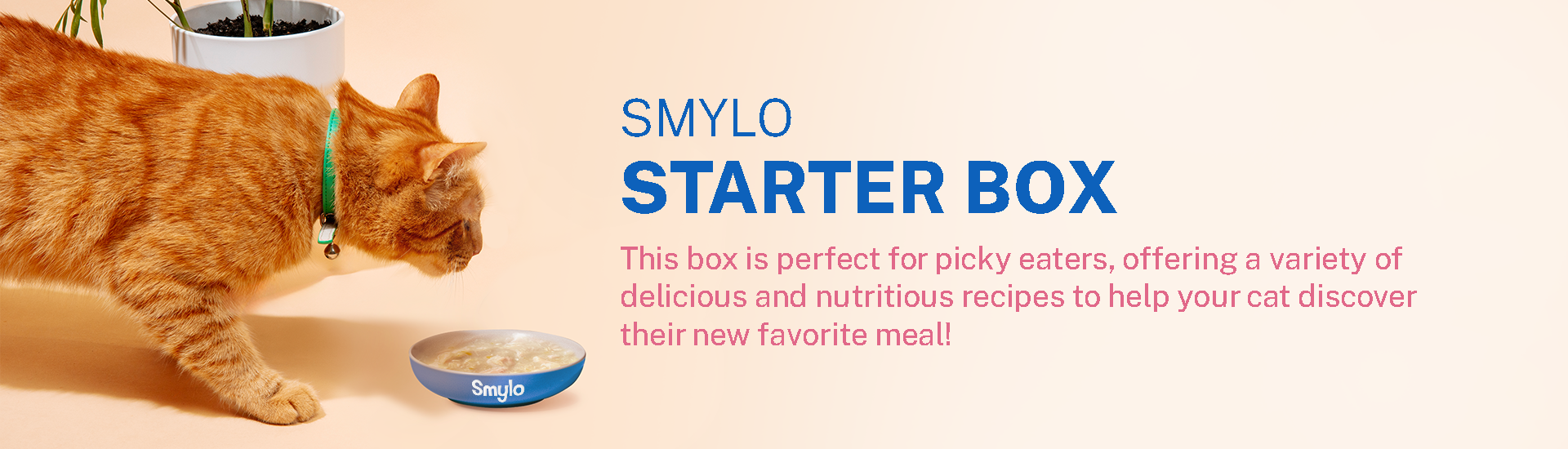 Trial Box – Smylo