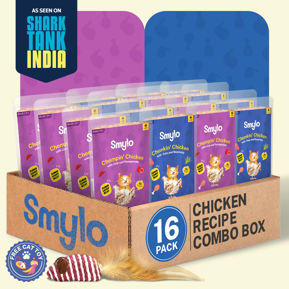 Smylo Chicken Combo (Adult)