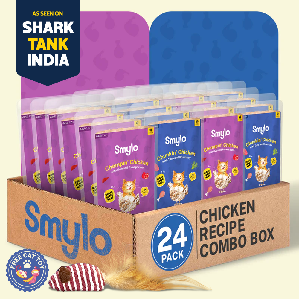 Smylo Chicken Combo (Adult)