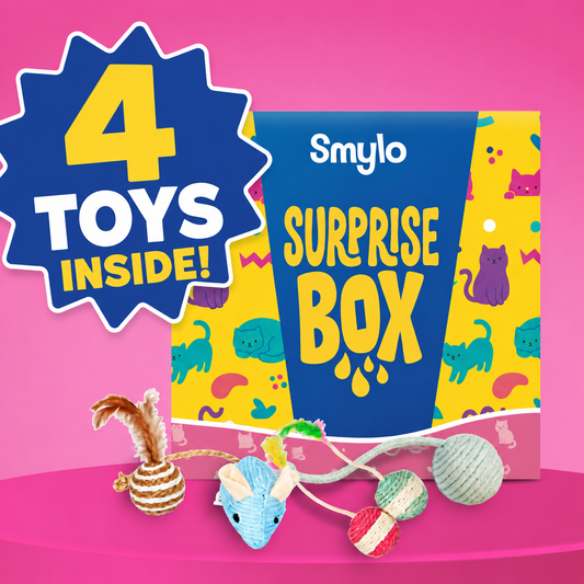 Smylo Toy Surprise Box