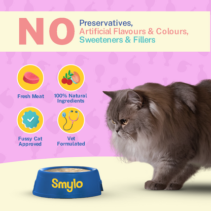 Smylo Chicken Combo (Adult) (Pack Of 64)