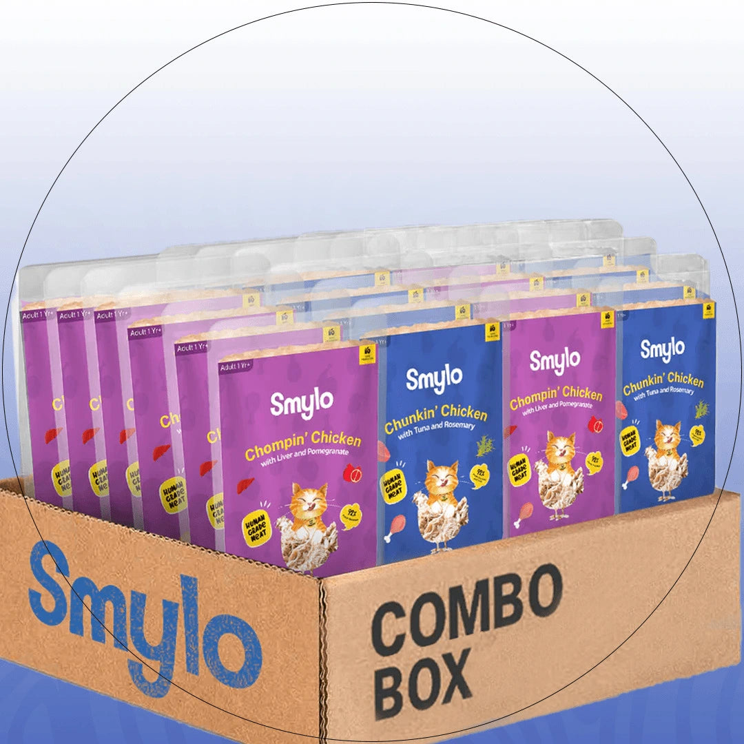Combo Box