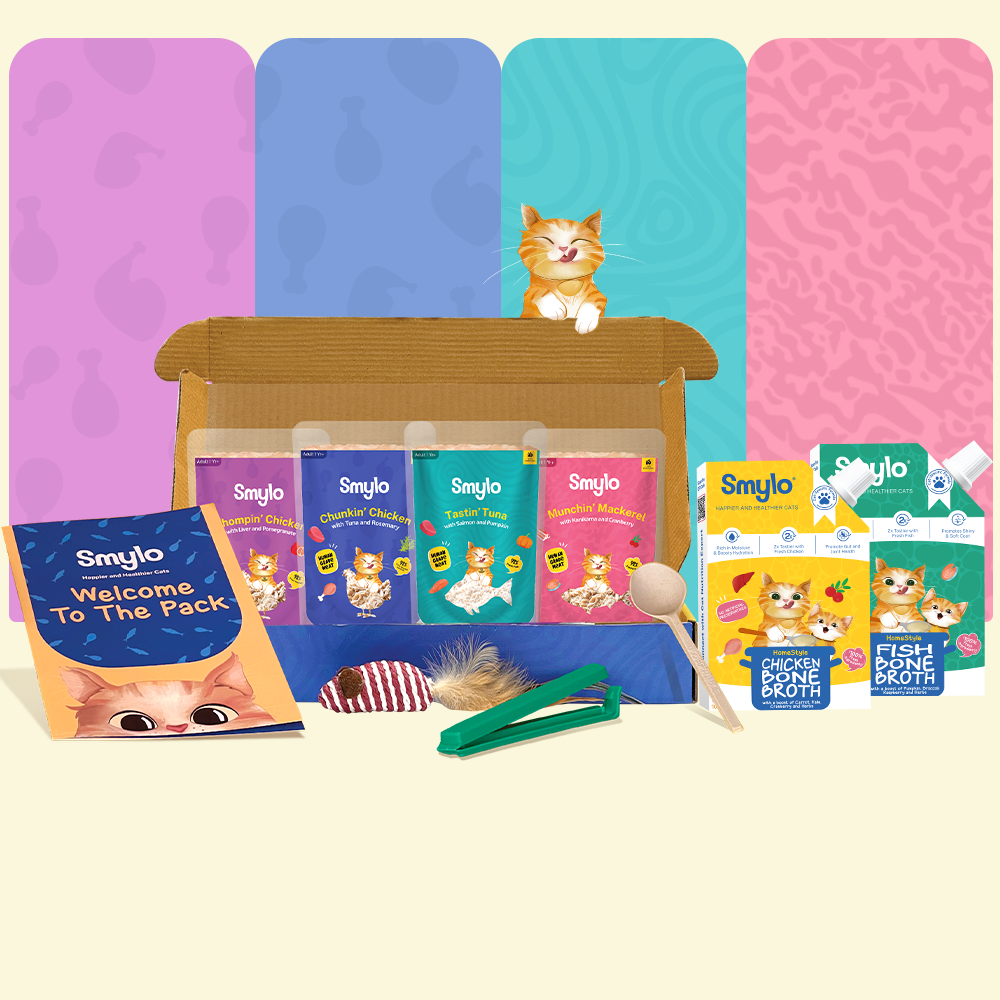 Adult Starter Box (Pack of 4) with 2 Broths