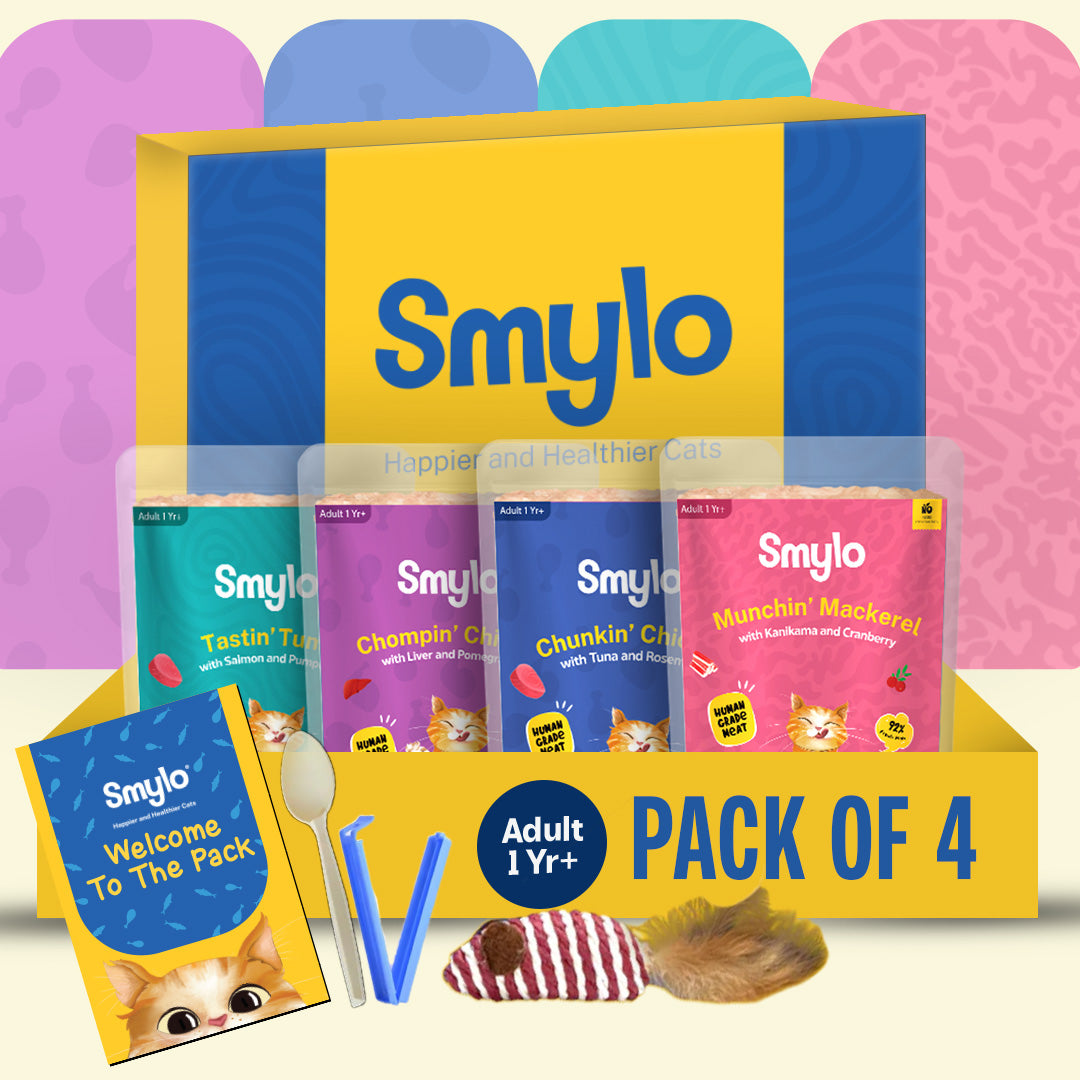 Adult Trial Box (Pack of 4)